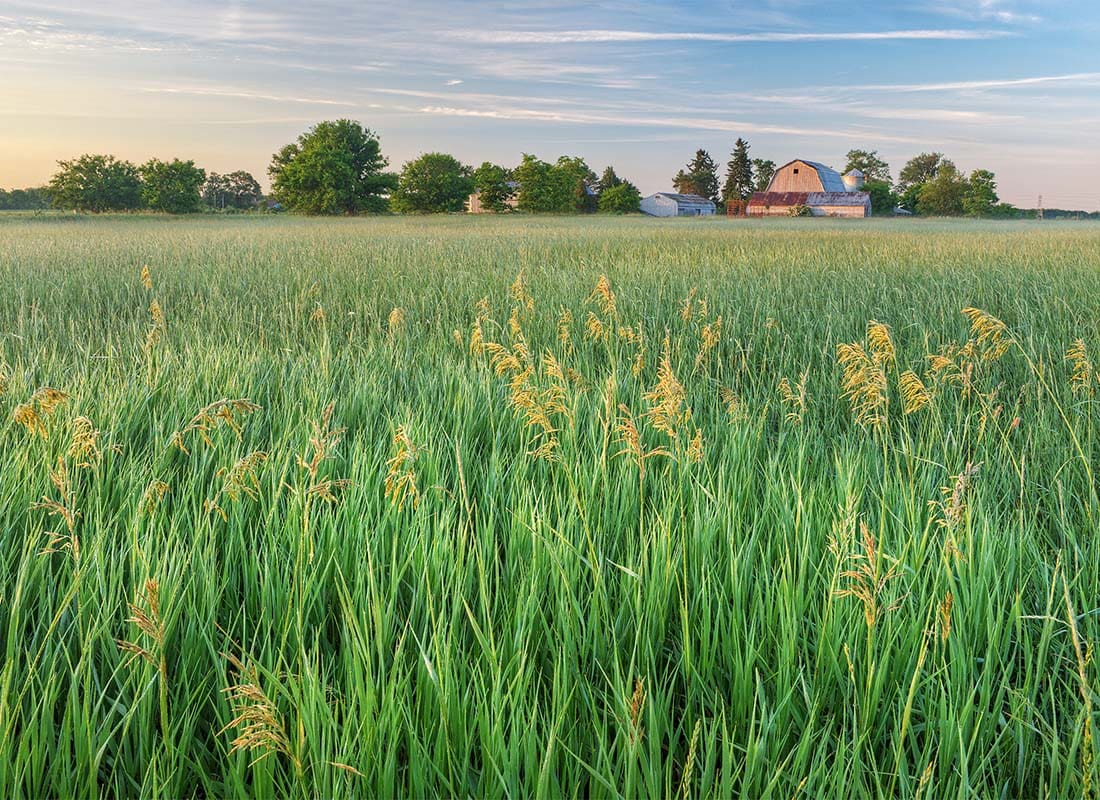About Our Agency - Field of Green Wheat Growing on a Farm with a Home Against a Colorful Sunset Sky in the Distance